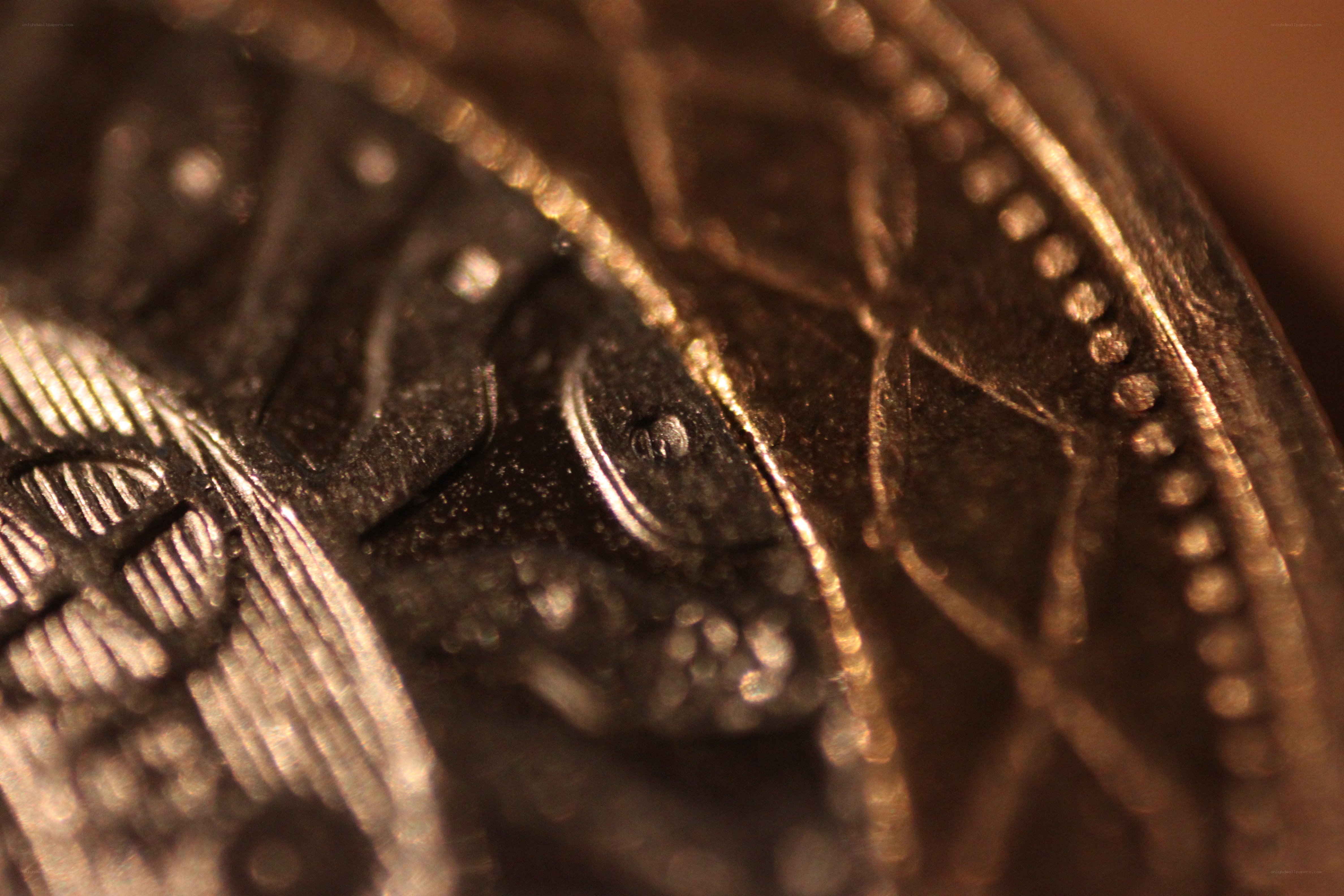 close-up of coin texture