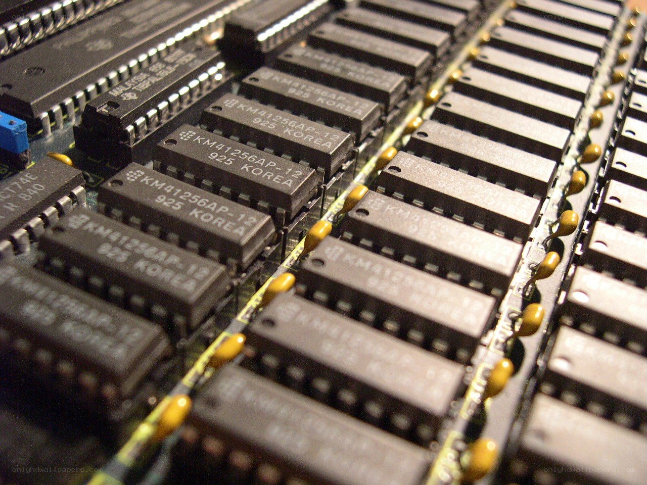 Close-up of computer chips