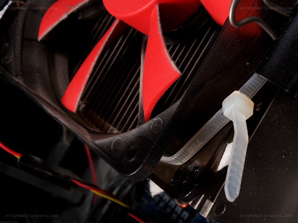 close-up of computer cooling fan