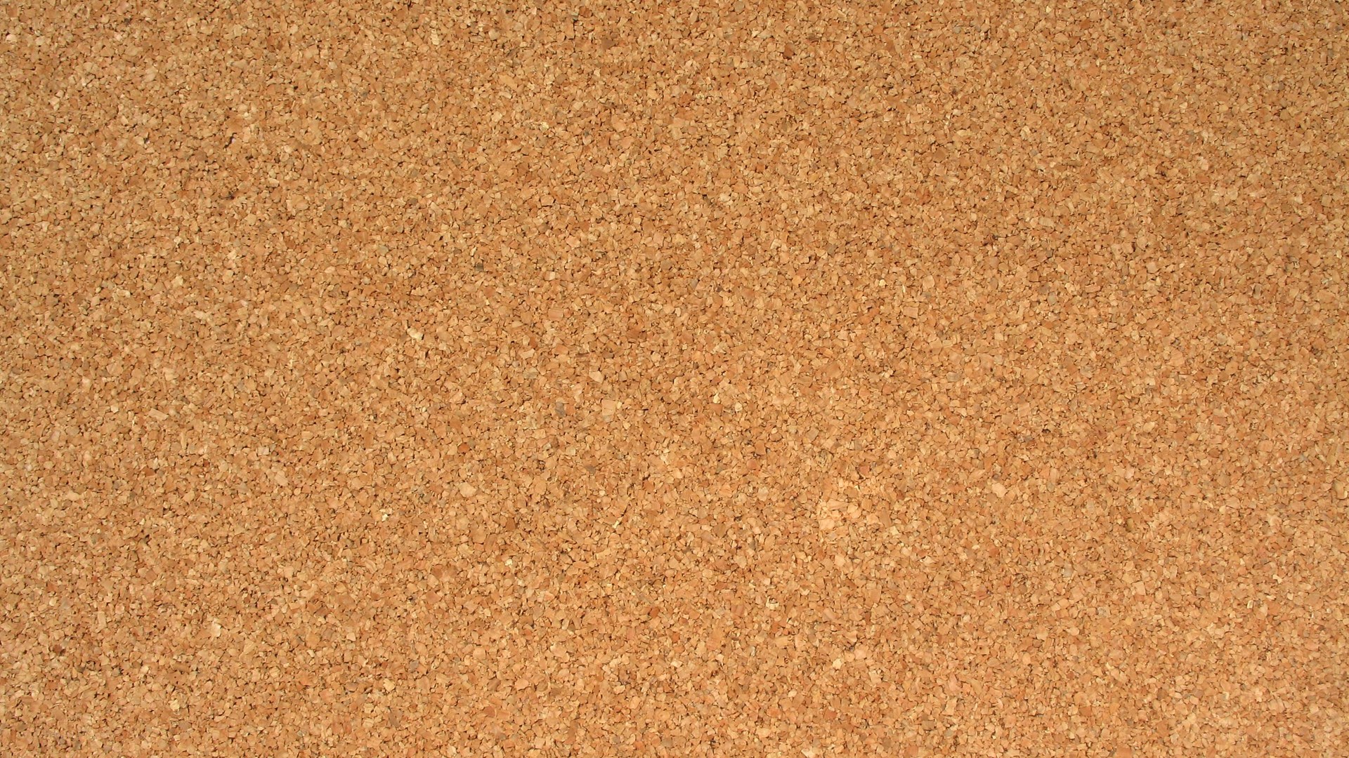 close-up of cork surface