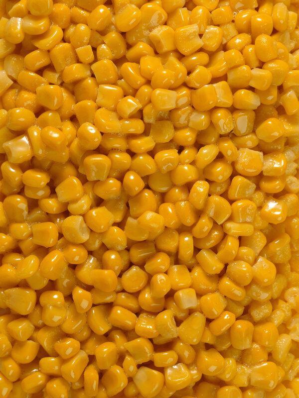 Close-up of corn kernels
