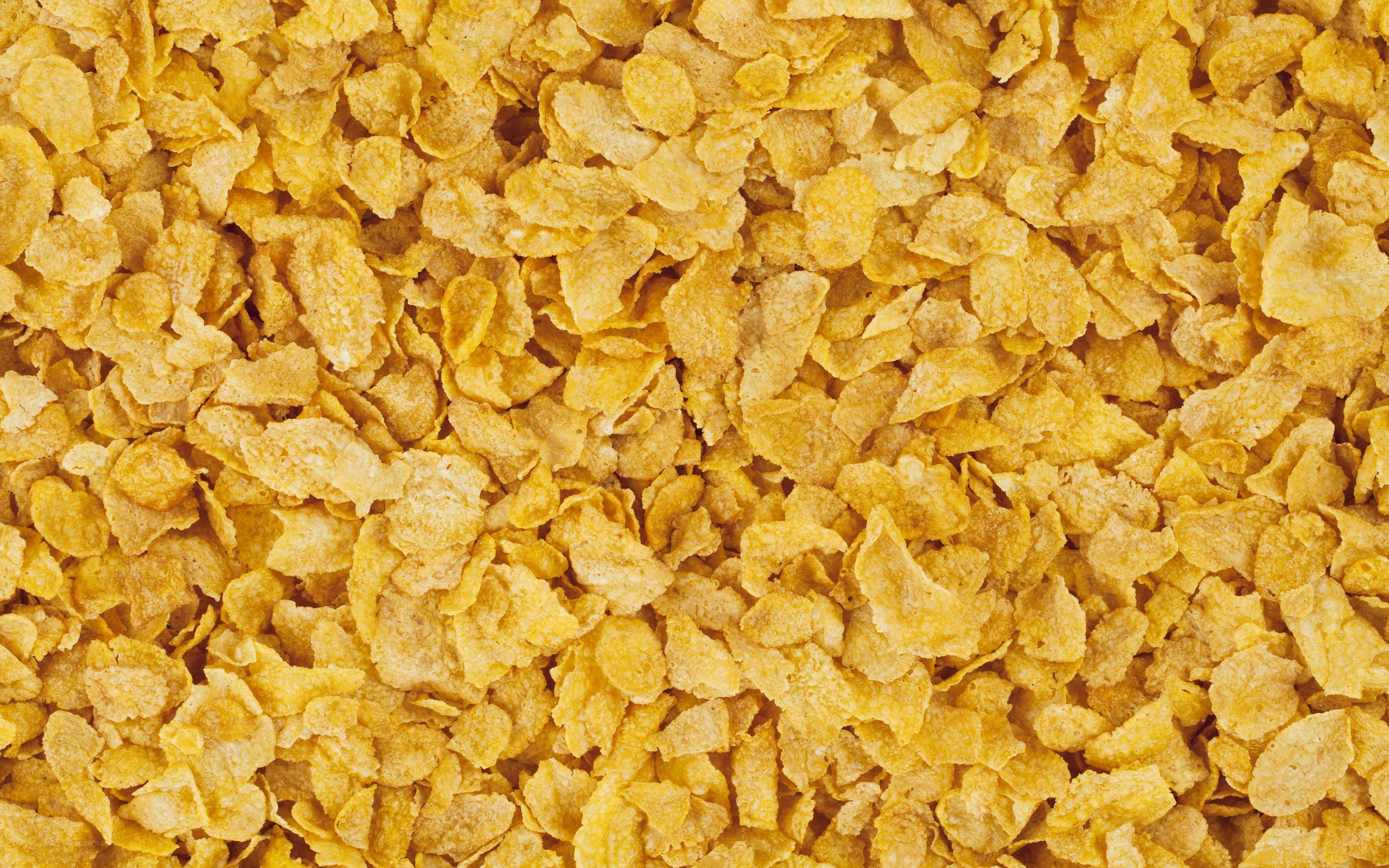 close-up of cornflakes