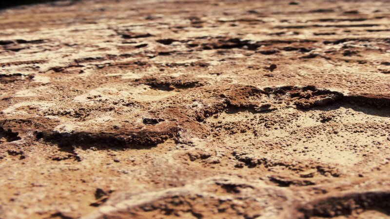 Close-up of Cracked Earth — Brown