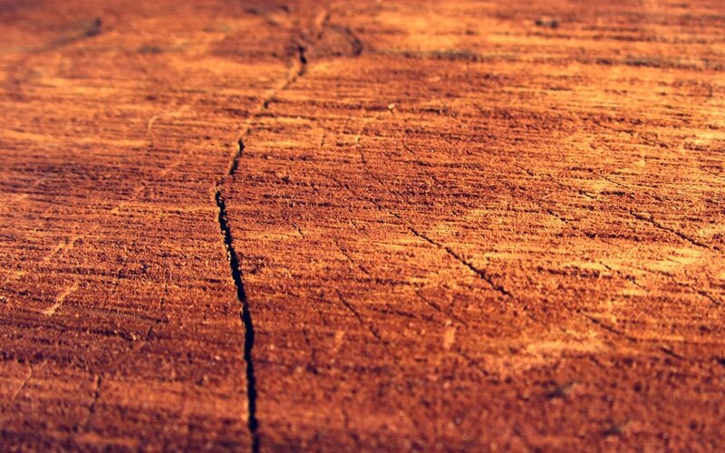 close-up of cracked wood surface