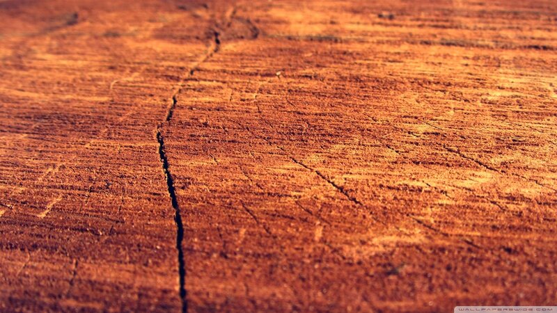 close-up of cracked wood