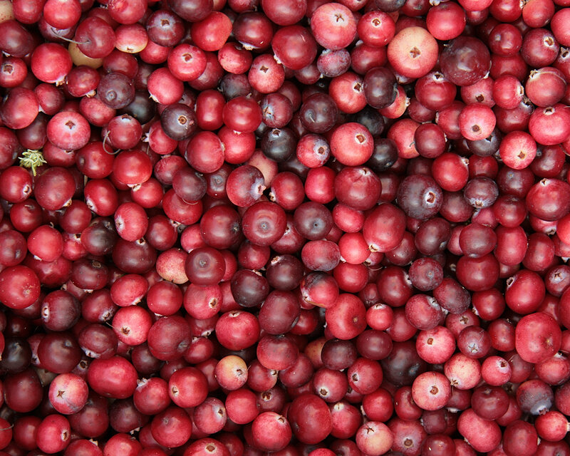 Close-up of Cranberries