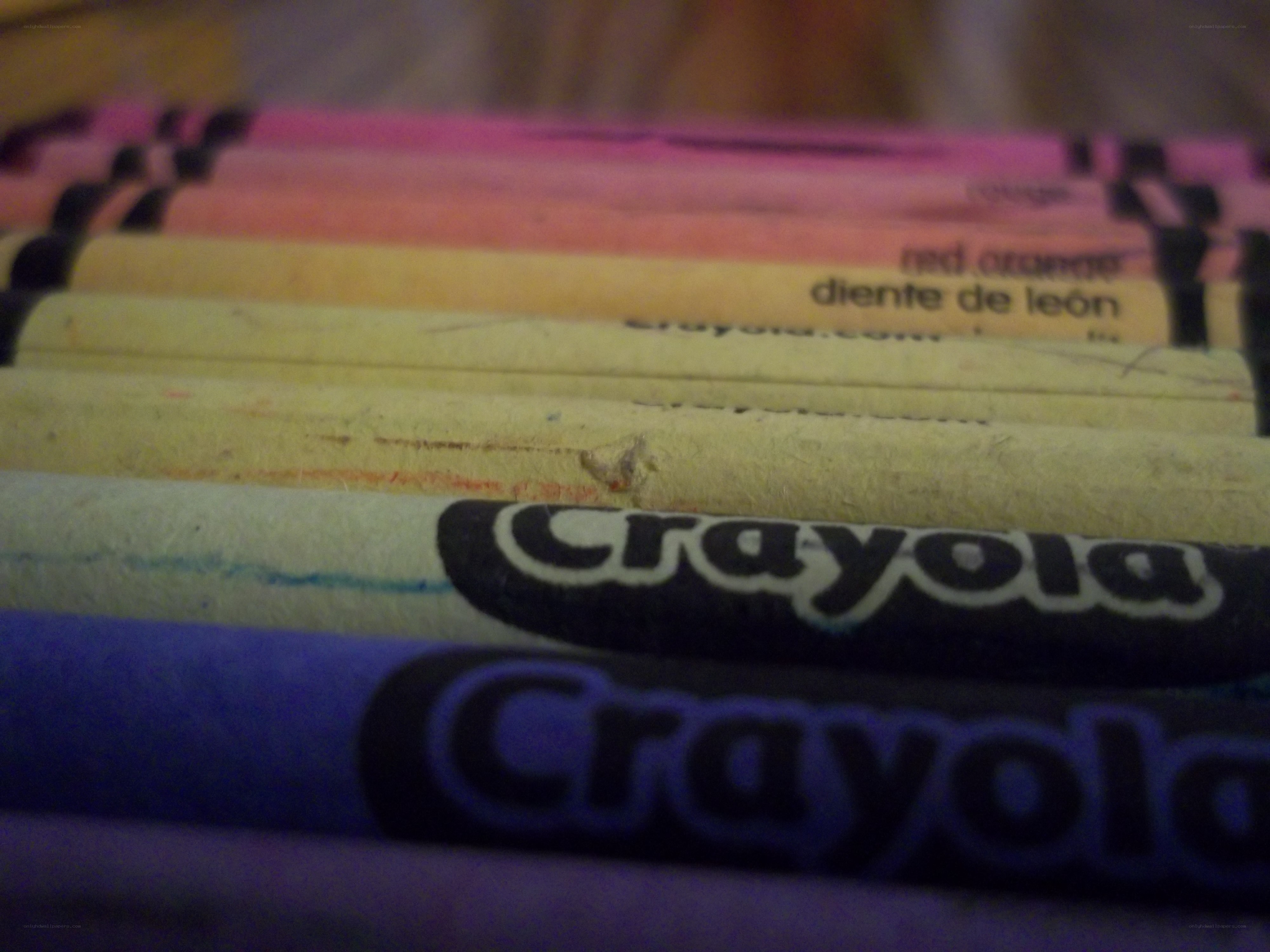 Close-up of crayons