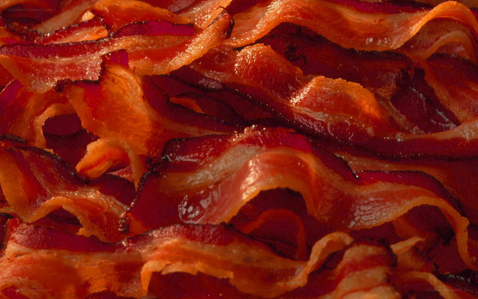 close-up of crispy bacon