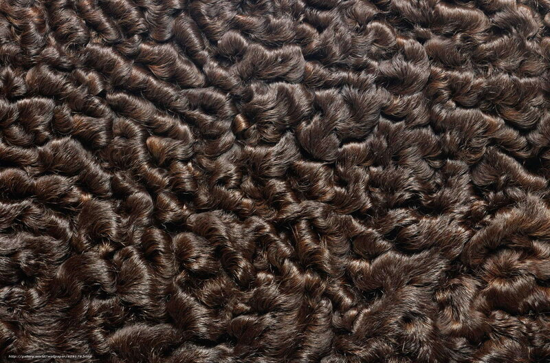 close-up of curly brown hair
