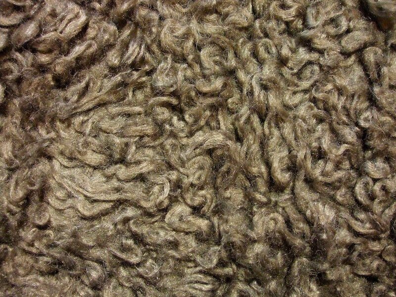 close-up of curly brown wool