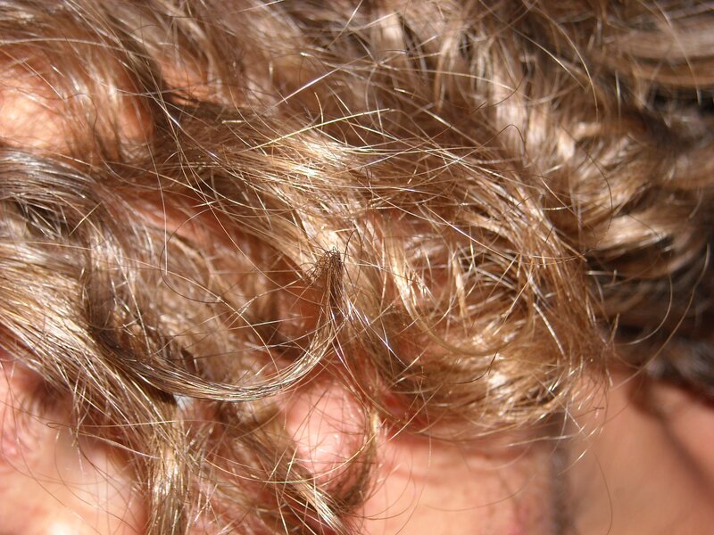 close-up of curly hair