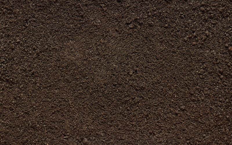 close-up of dark soil