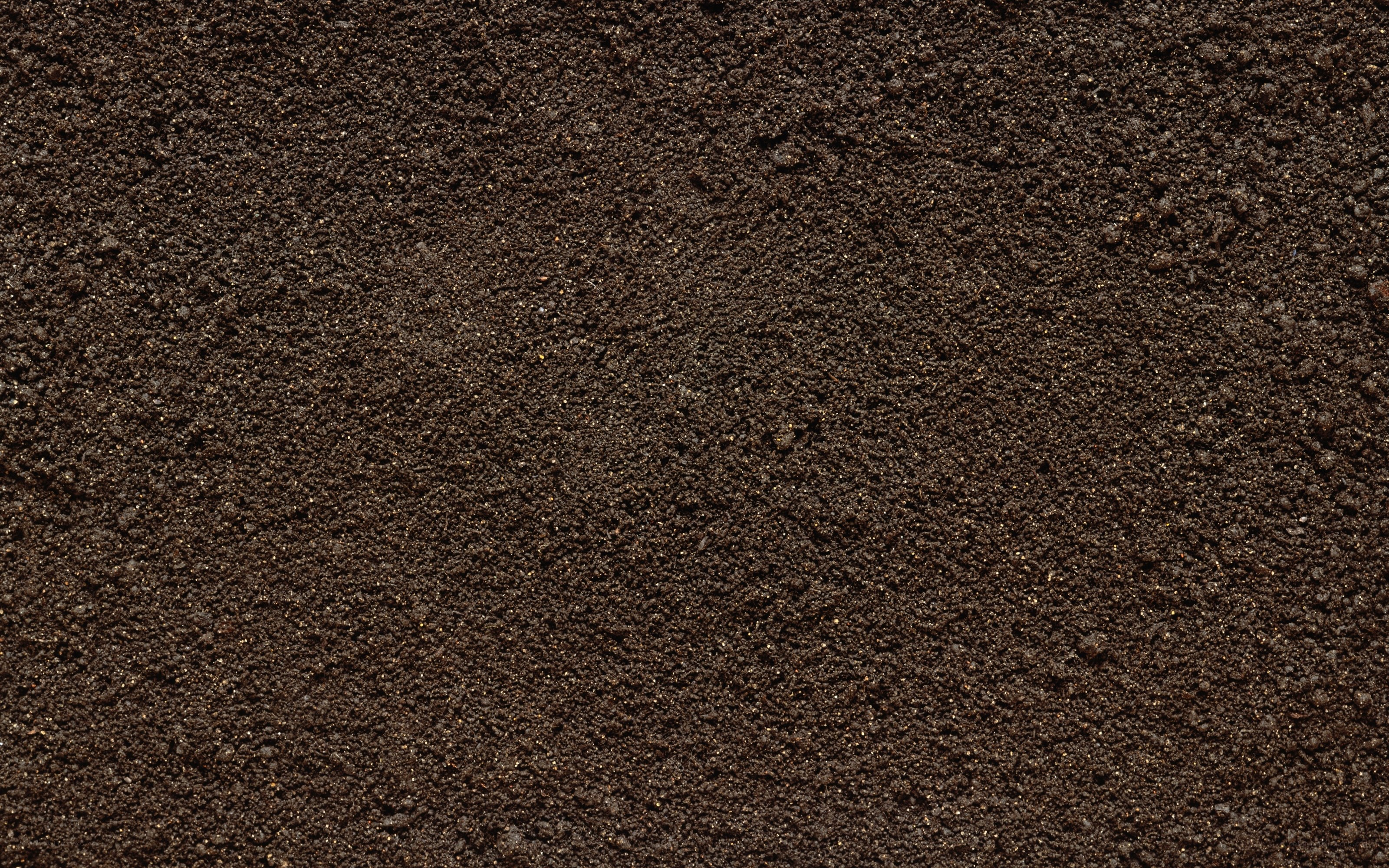 close-up of dark soil