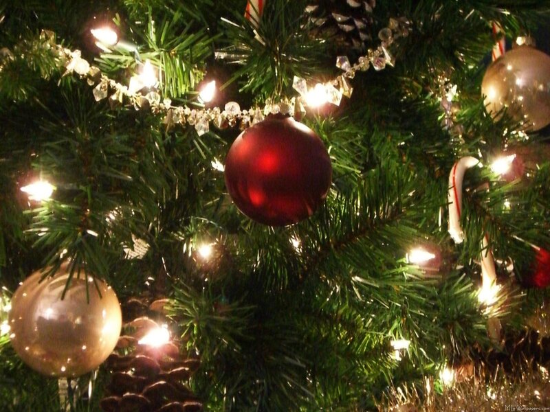 Close-up of Decorated Tree — Green, Festive, Night, Photograph