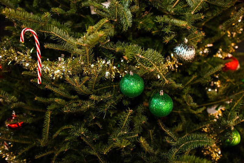 Close-up of Decorated Tree — Green, Festive