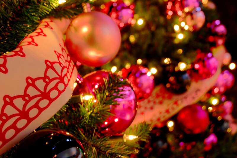 Close-up of Decorated Tree — Red, Festive
