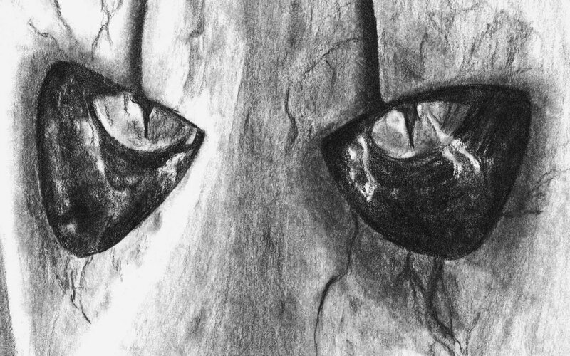 close-up of demonic eyes