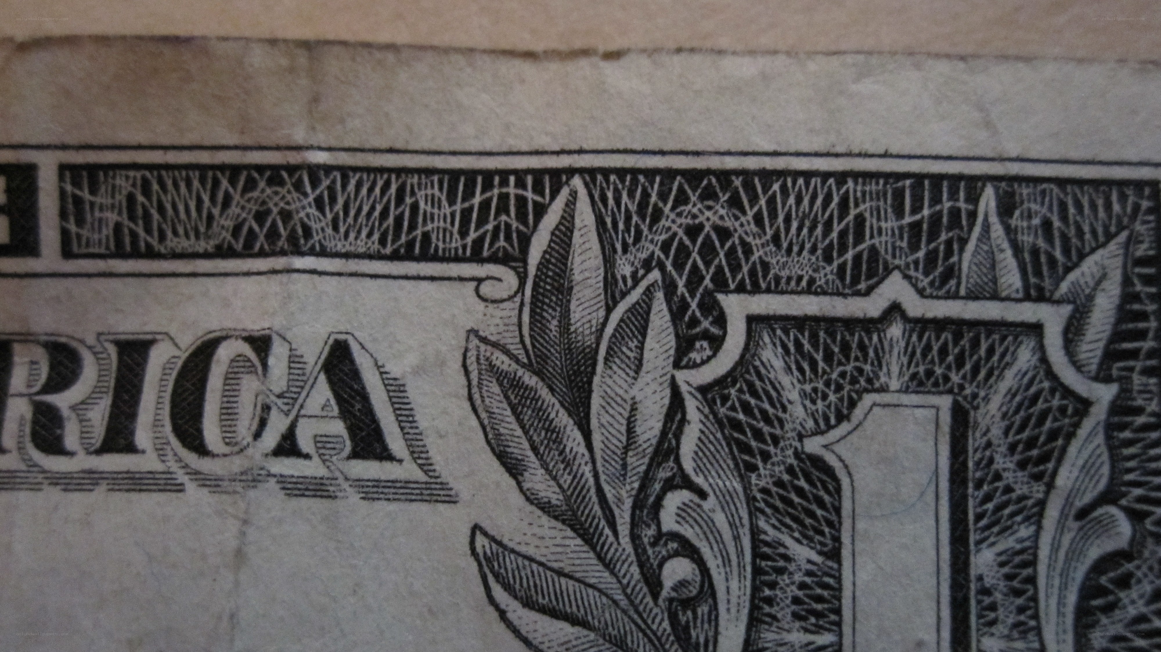 close-up of dollar bill design