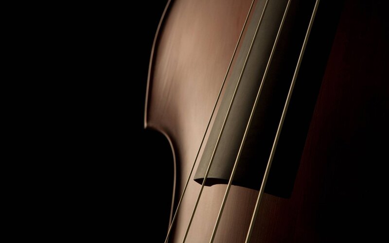Close-up of Double Bass