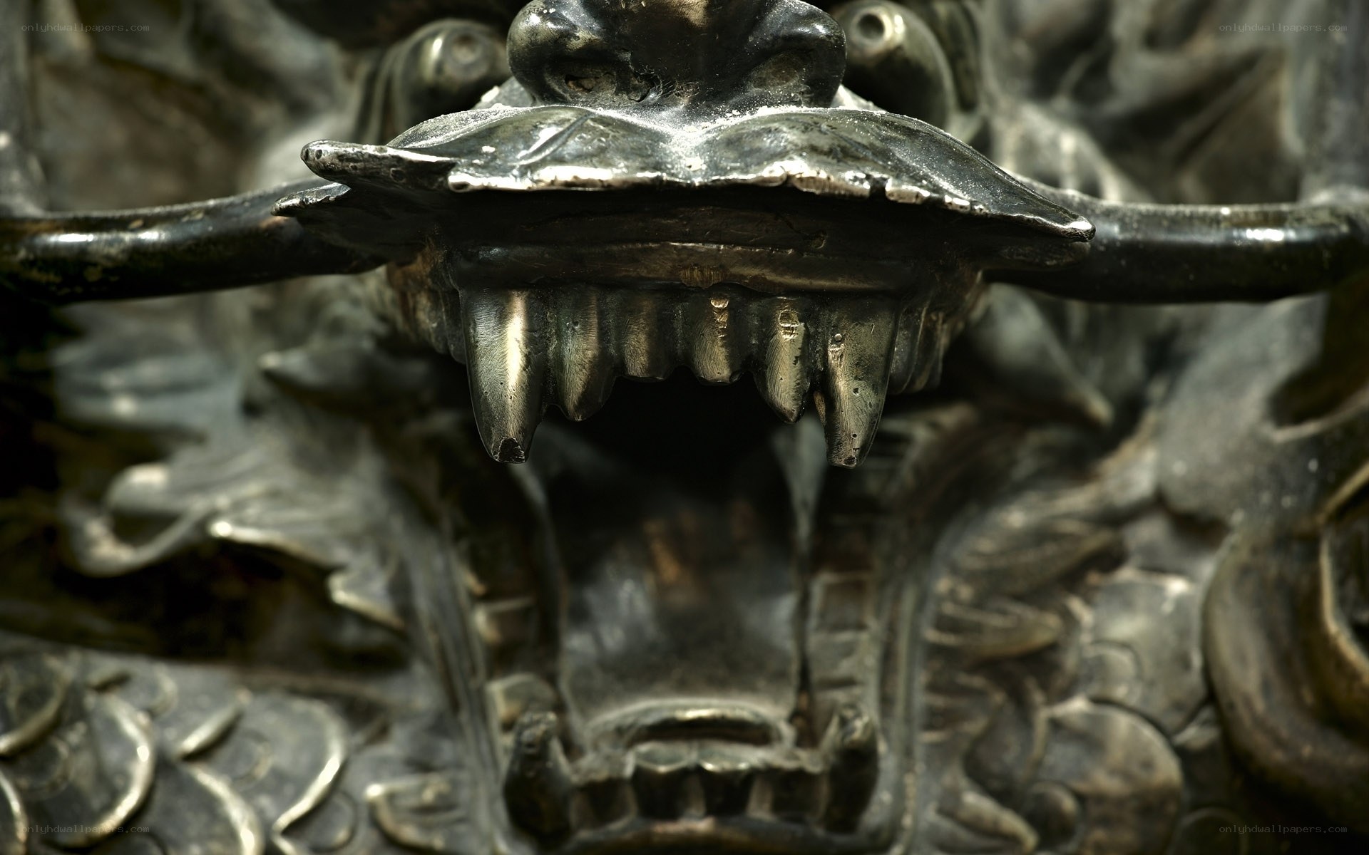 close-up of dragon sculpture