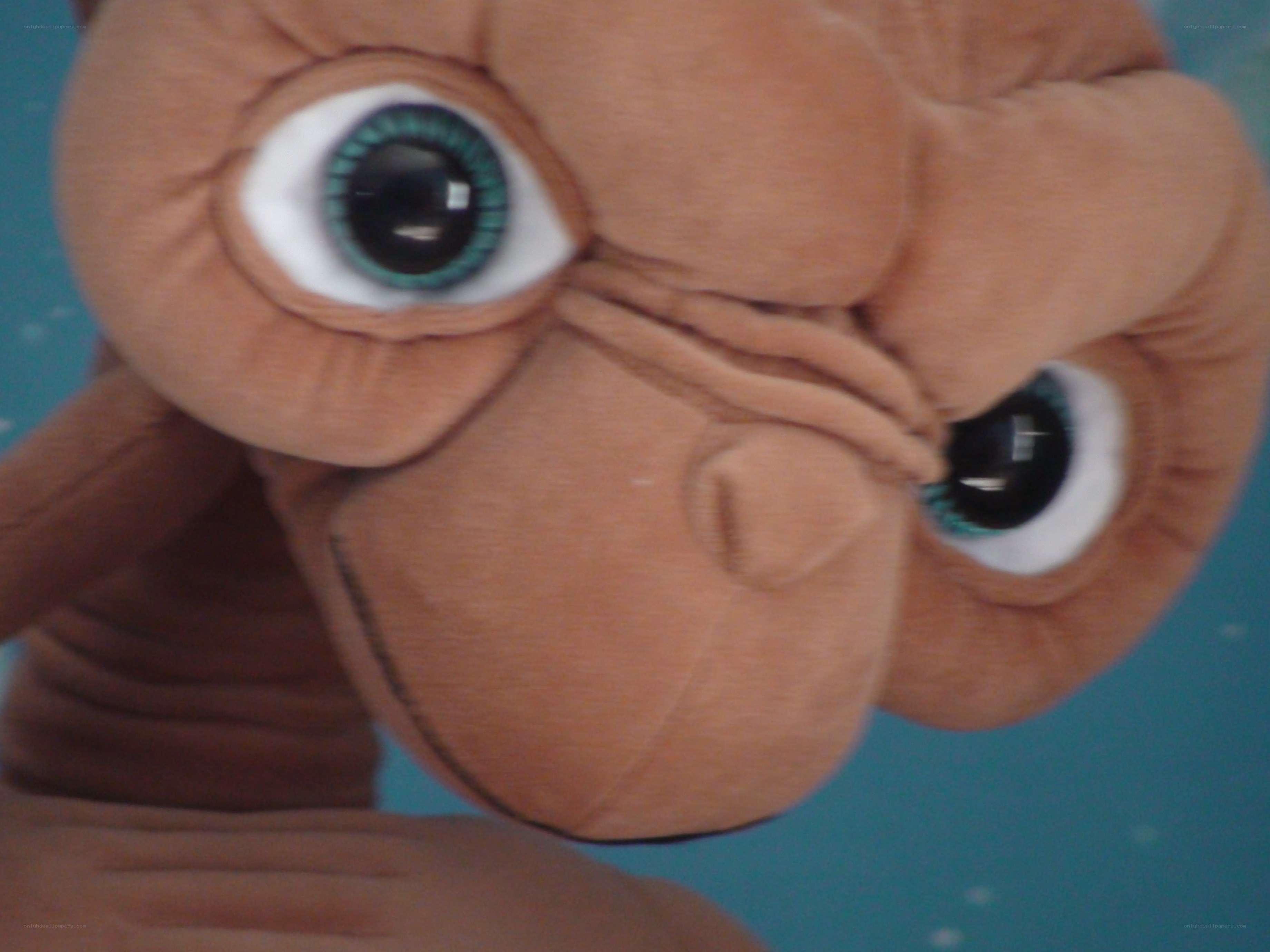 close-up of E.T. plush