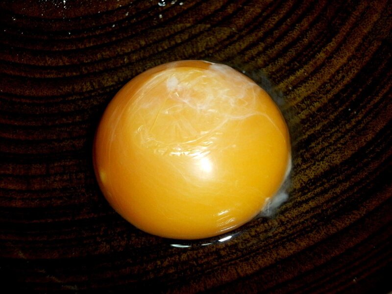 close-up of egg yolk