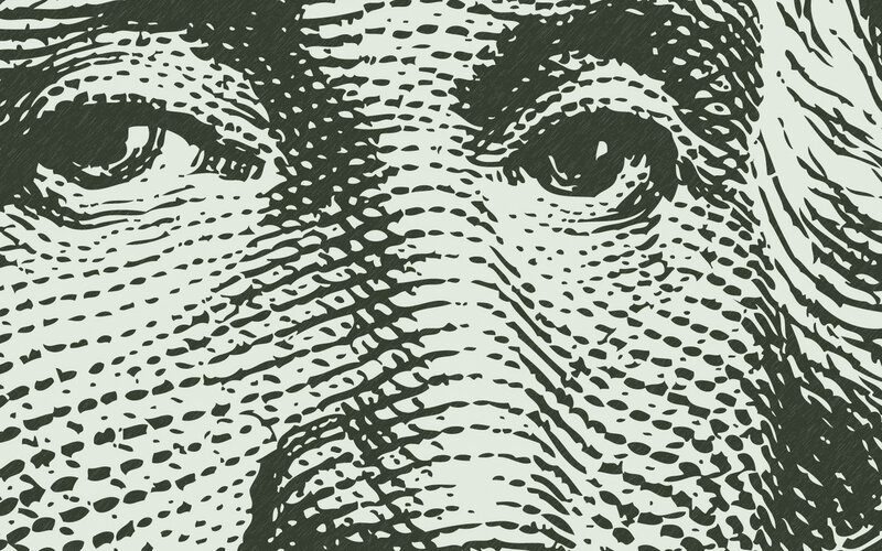 close-up of elephant eyes