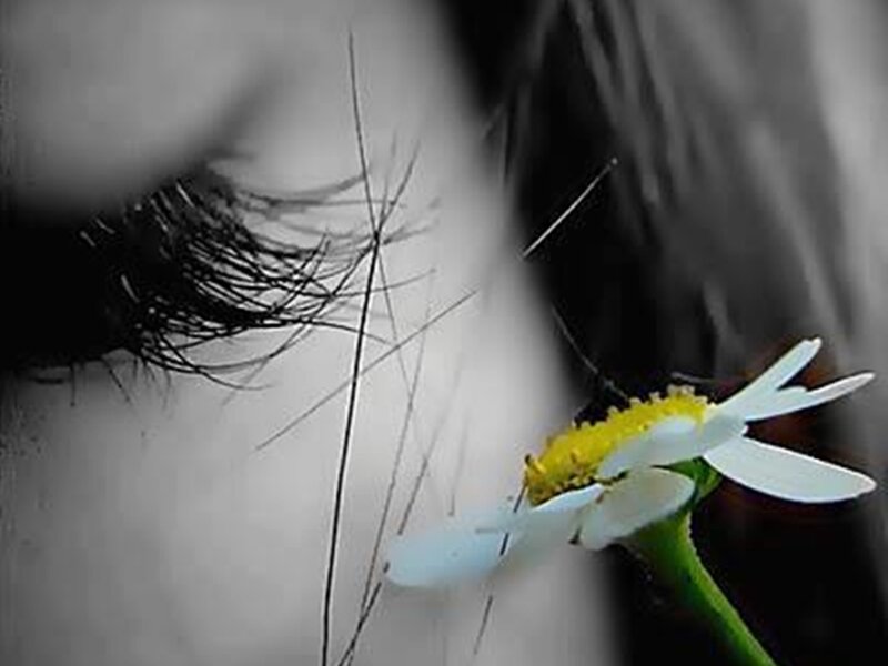Close-up of Eye and Flower
