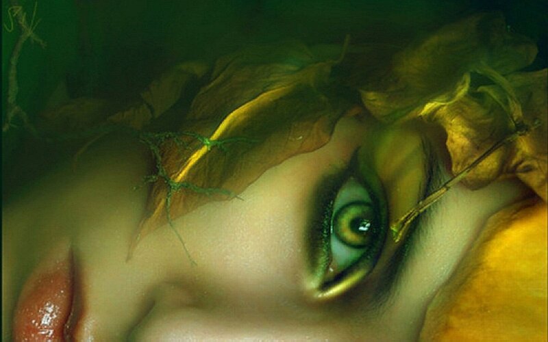 close-up of eye with leaves