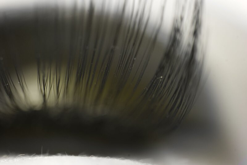 close-up of eyelashes