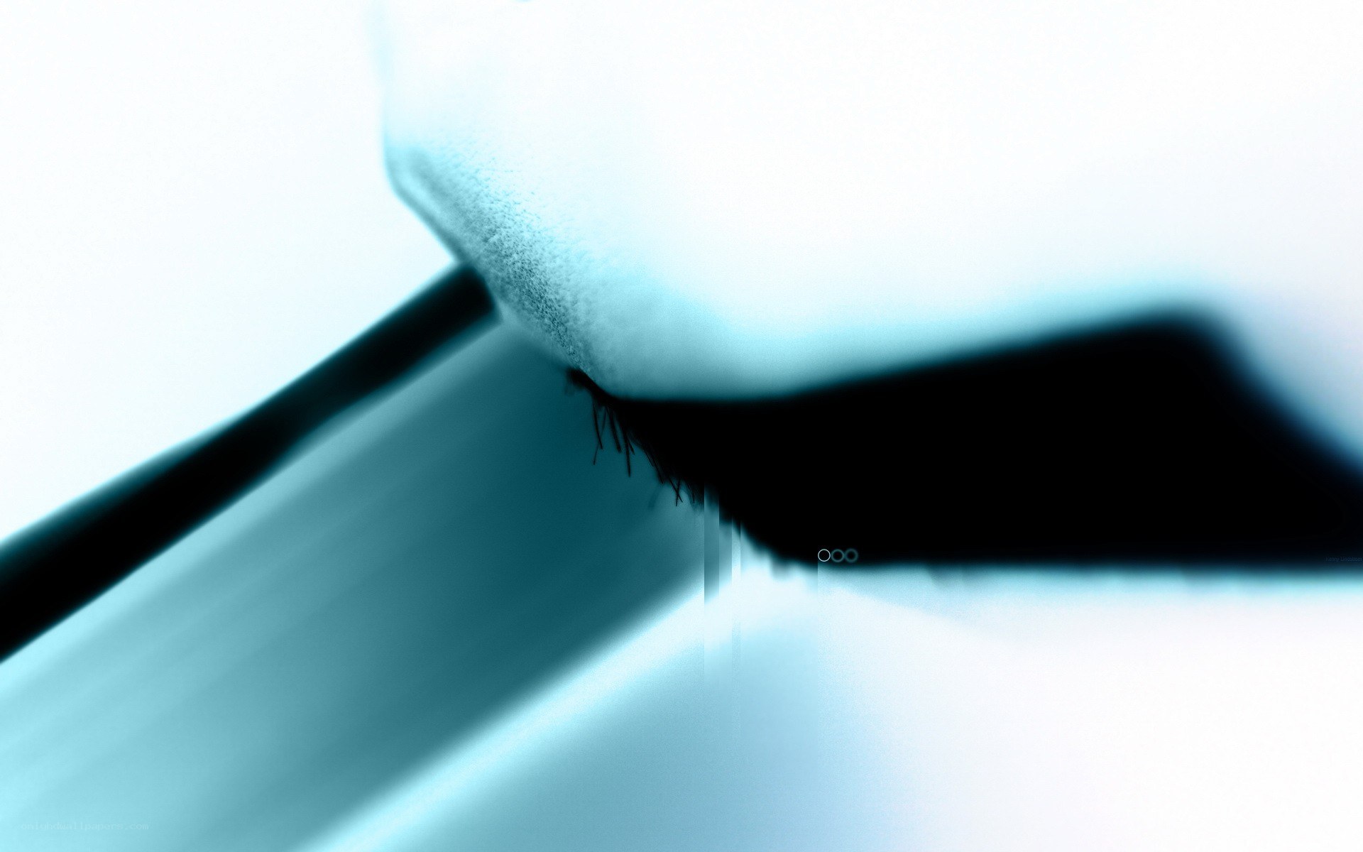 close-up of eyelashes
