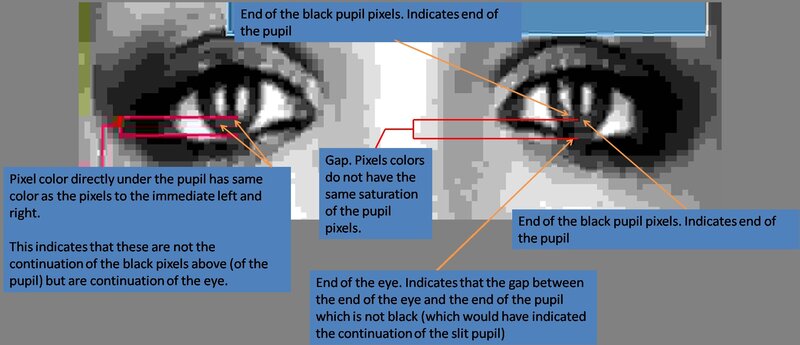 Close-up of Eyes — Black