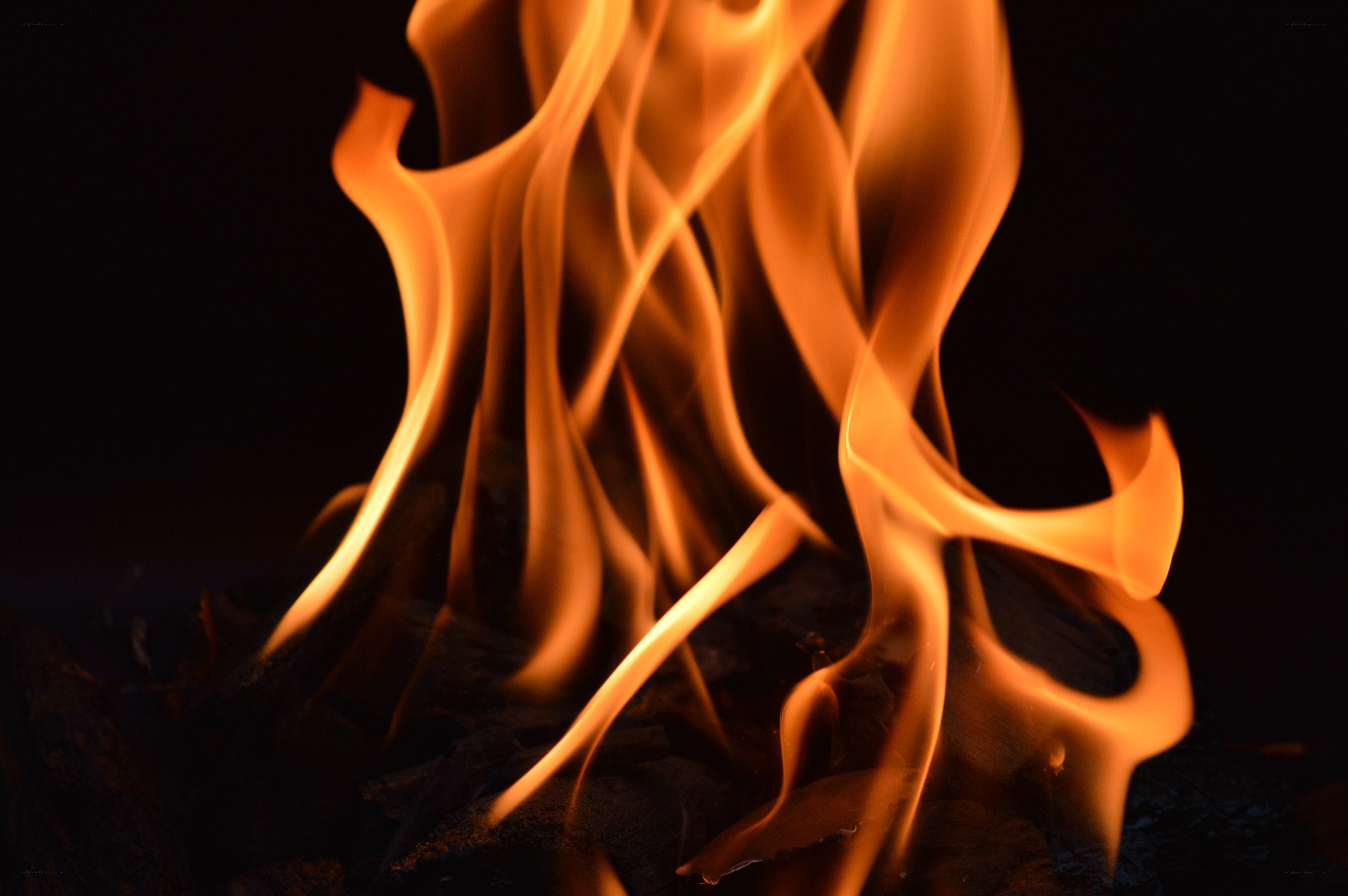 Close-up of flickering flames