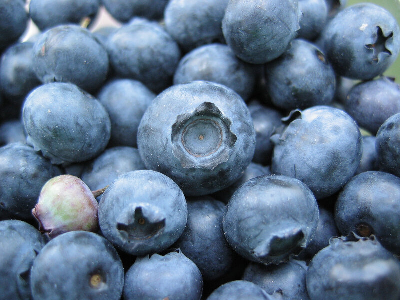 Close-up of fresh blueberries