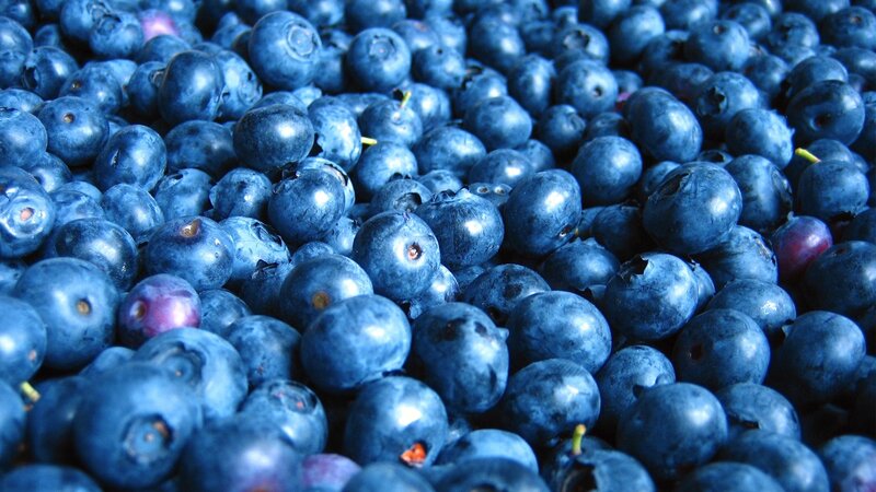 close-up of fresh blueberries