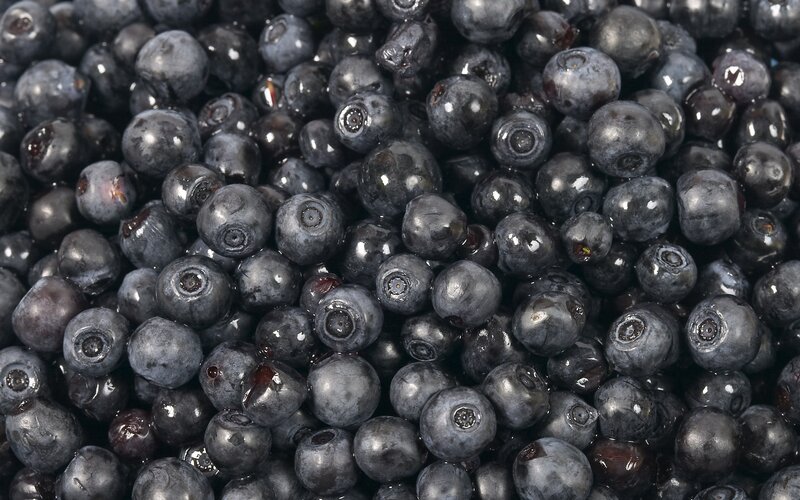Close-up of fresh blueberries