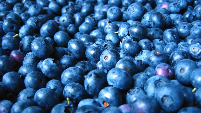 close-up of fresh blueberries