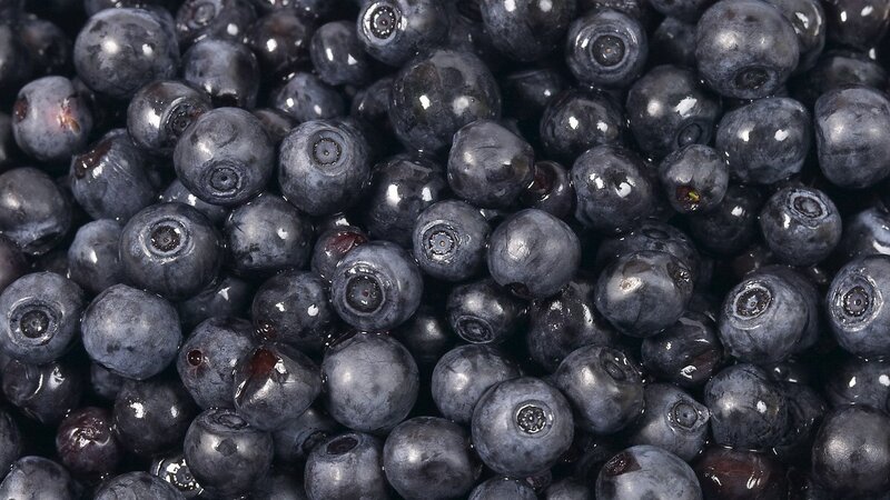 Close-up of fresh blueberries