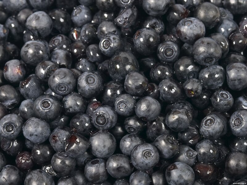 close-up of fresh blueberries