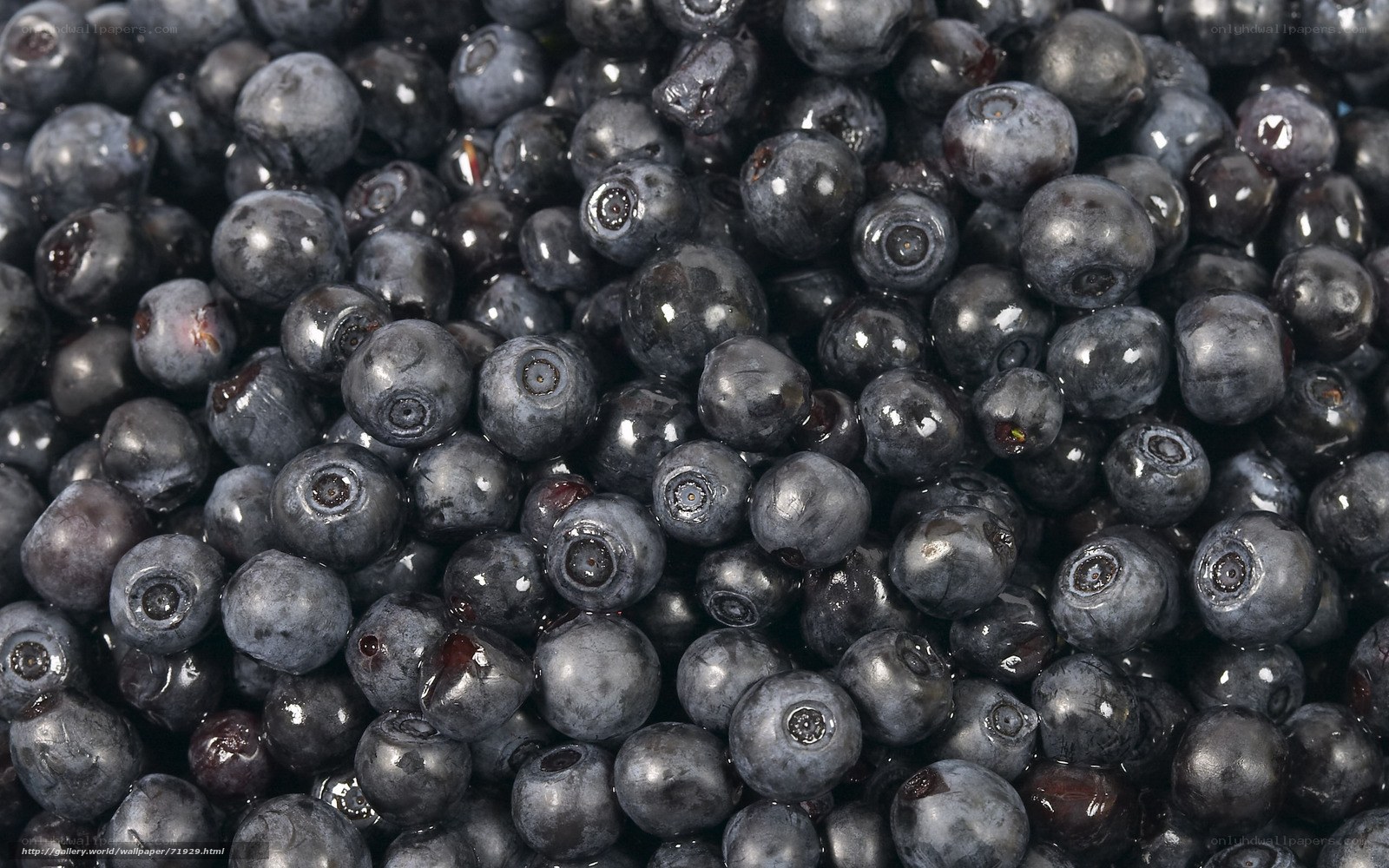 Close-up of fresh blueberries