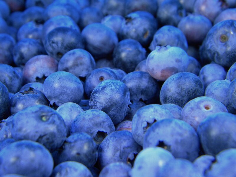 Close-up of fresh blueberries