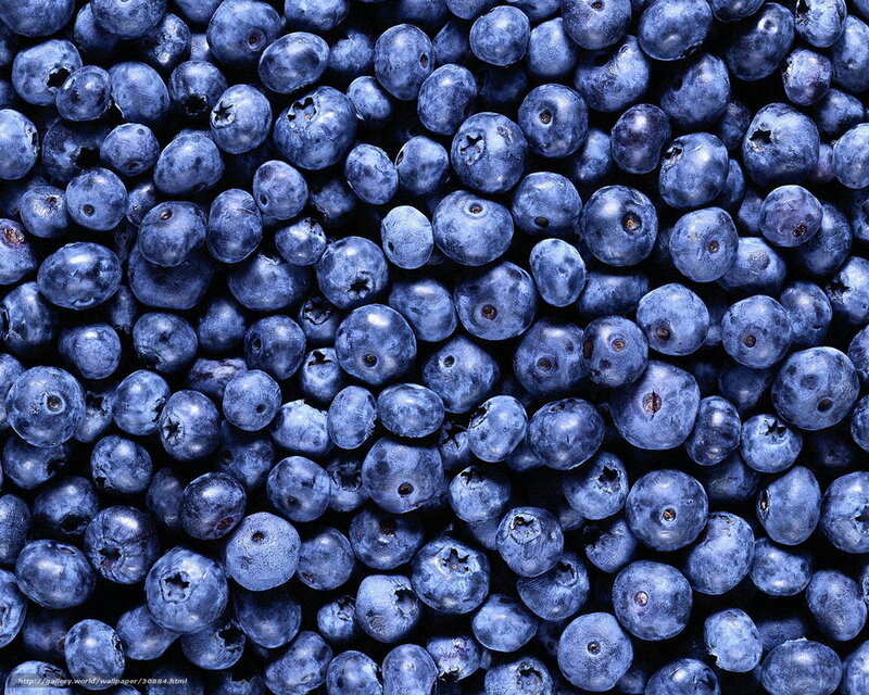 Close-up of fresh blueberries