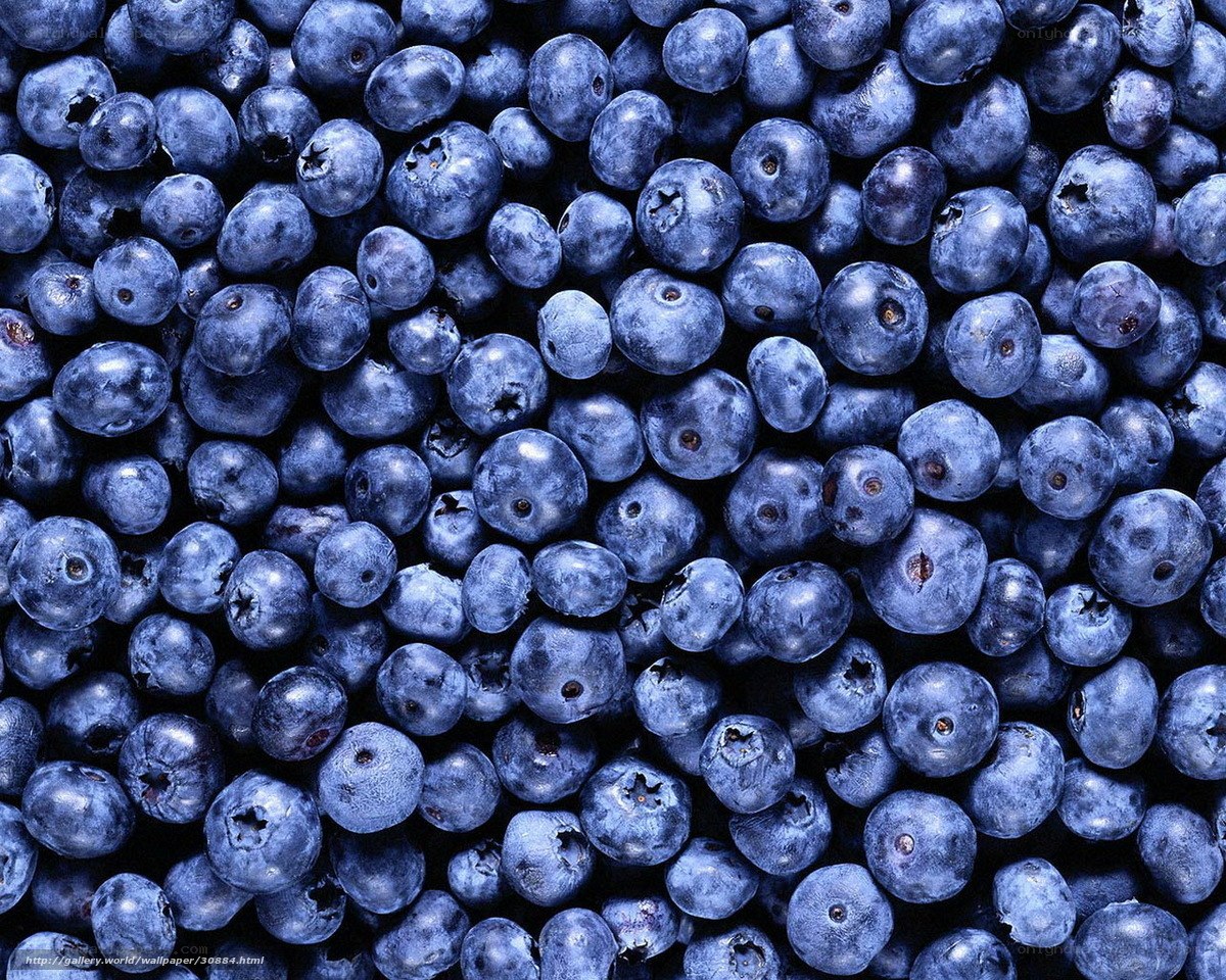 Close-up of fresh blueberries