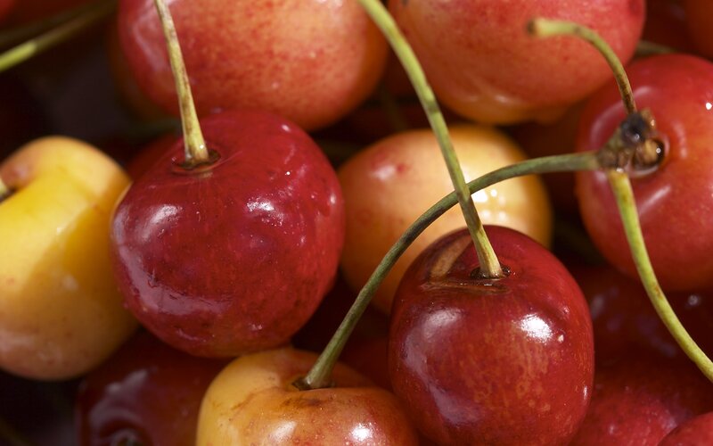 Close-up of fresh cherries