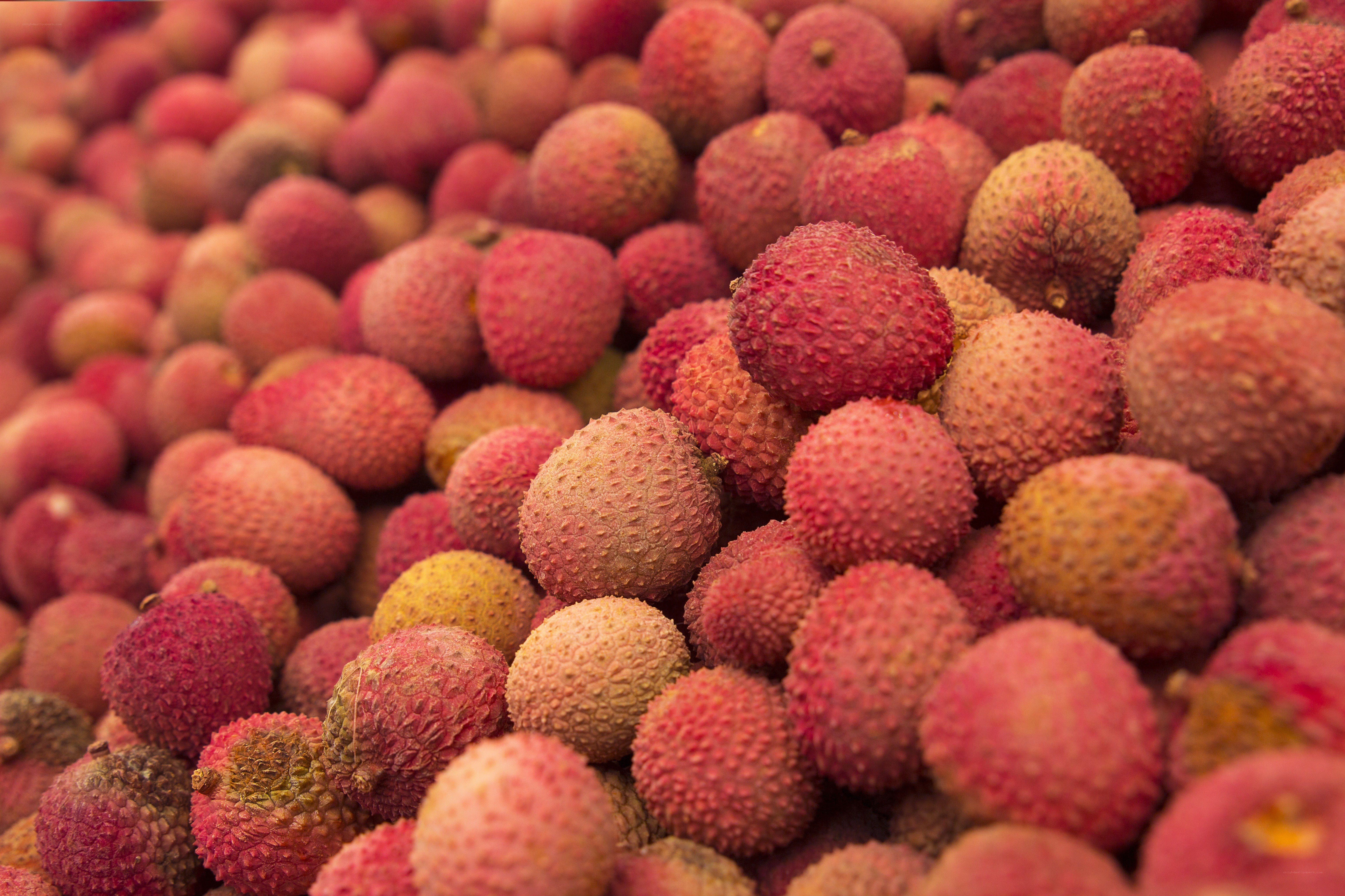 Close-up of fresh lychees
