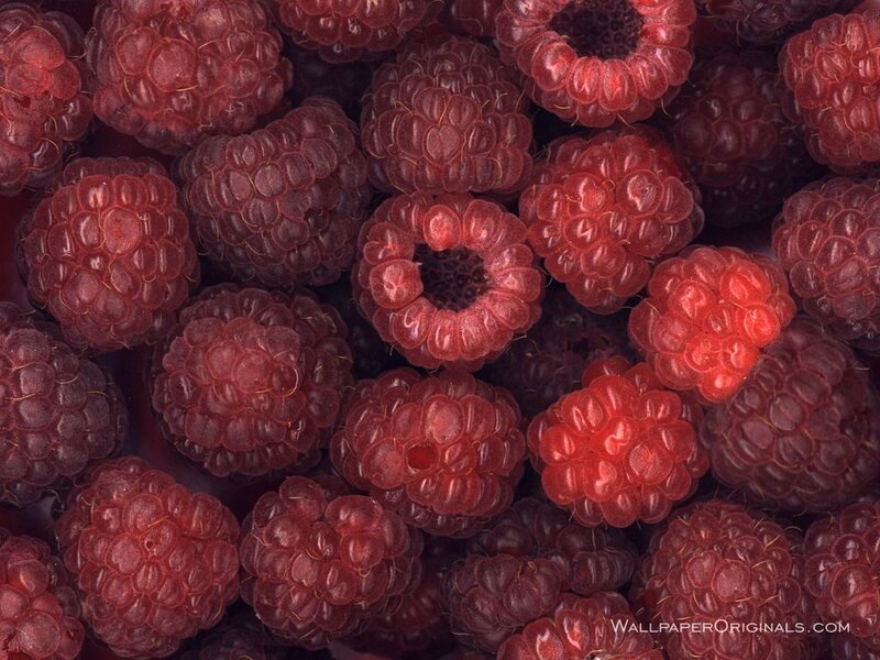 Close-up of fresh raspberries