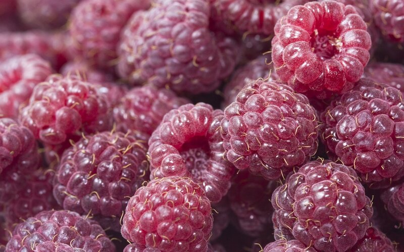 Close-up of fresh raspberries