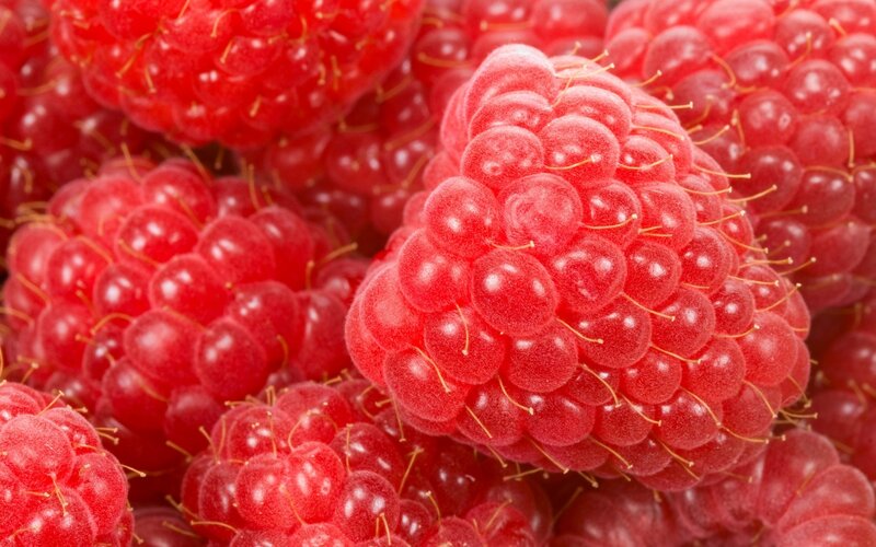 Close-up of fresh raspberries