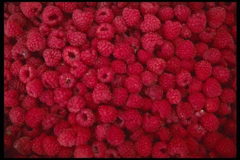 Close-up of fresh raspberries