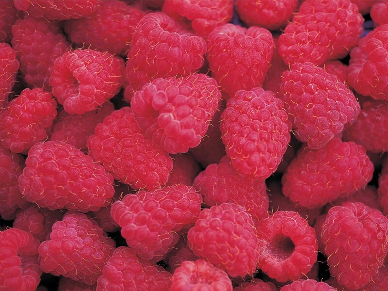 Close-up of fresh raspberries